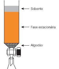 Google Baseado em Fundamentos de Cromatografia C. H. Collins, G.