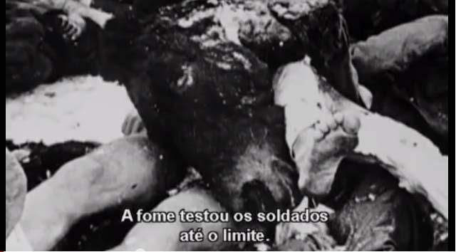 130 Imagem da fonte de um cavalo junto aos corpos de Stalingrado Os soldados alemães recorreram ao canibalismo com o objetivo de continuar vivo, para isso cortavam finas fatias de carne congelada dos