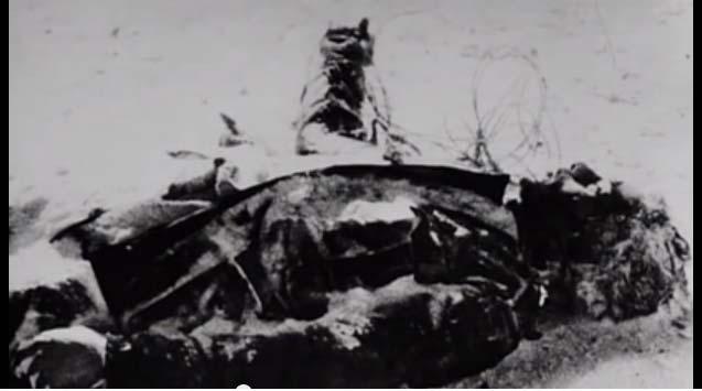 131 Vitima do combate em Stalingrado imagem da fonte.