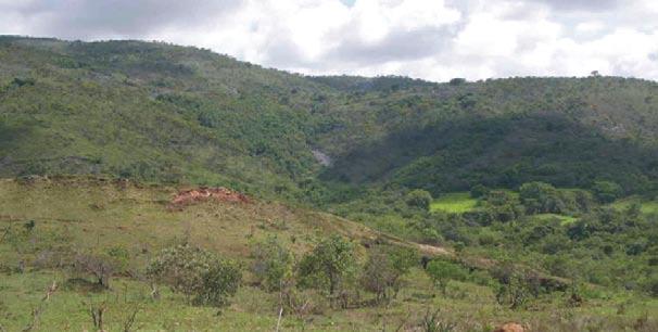 Os lagartos estão bem representados na área, com espécies típicas de mata, como Enyalius bilineatus, e de áreas aberta de cerrado, como Ameiva ameiva e Mabuya frenata.