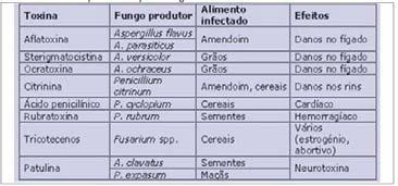 Protistas, Fungos e Vegetais Inferiores Na tabela abaixo (tab. 2), estão indicadas algumas micotoxinas, os alimentos infectados e os seus efeitos para os consumidores. Tabela 2.