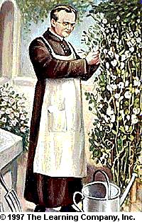 HISTÓRICO 1865 - GREGOR MENDEL Estudou cruzamento entre diferentes tipos de ervilhas demonstrando que
