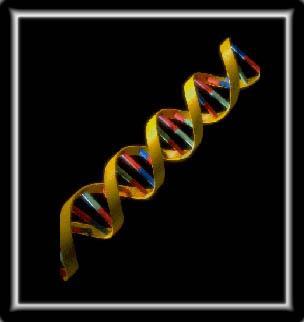Diferenças entre RNA e DNA O RNA é uma molécula intermediária na síntese de proteínas, ela faz a intermediação entre o DNA e as proteínas.