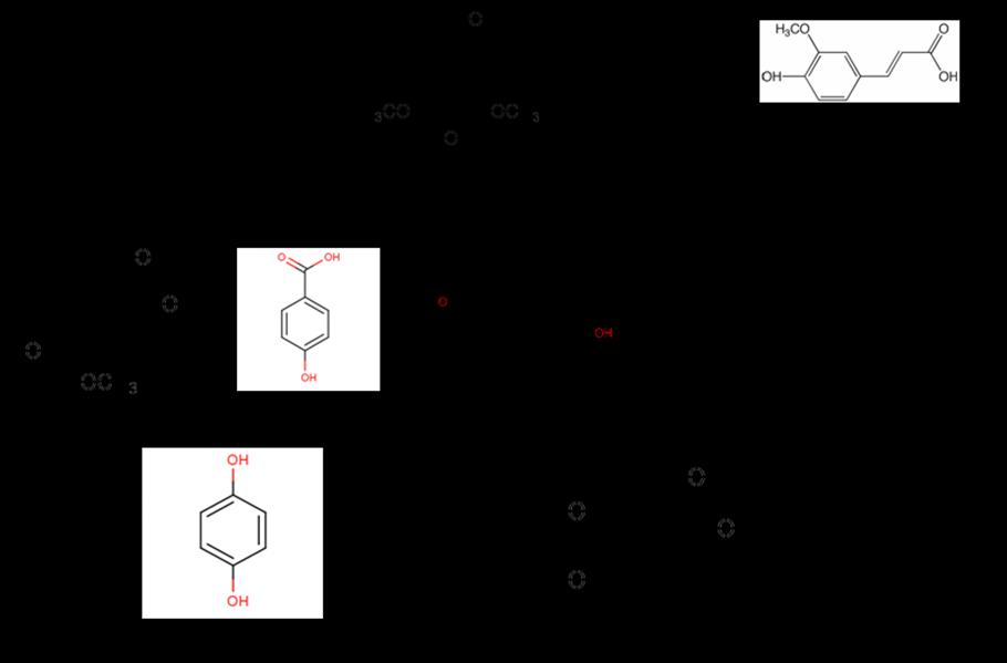 30 ROSSELL (2006) relata que dentre os compostos fenólicos, o siringaldeído e o ácido siríngico são dois dos derivados mais abundantes nos hidrolisados lignocelulósicos, os quais são provenientes da