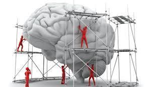Aprendizagem nas Neurociências Aprendizagem ocorre no cérebro.