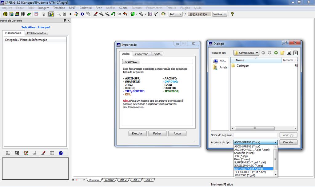 O SPRING aceita diversos formatos de arquivo: ASCII-SPR, SHAPEFILE, JPEG, IDRISI, TIFF/GEOTIFF, KML, ARCINFO, DXF DWG, RAW, SURFER, JPEG2000. Na aba Dados da caixa de Importação, clique em Arquivo.
