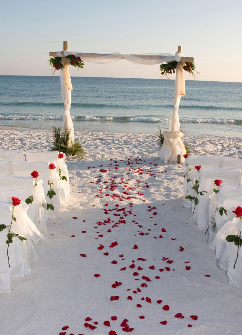 Se preocupe com a limpeza Em uma festa de casamento na praia, a preocupação com a limpeza é ainda maior do que seria em outros lugares e fica totalmente por conta dos