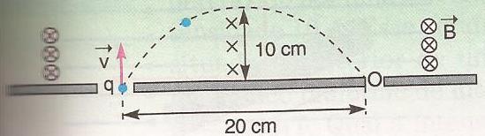 17. Uma partícula com carga 2 µc é lançada perpendicularmente a um campo magnético uniforme de intensidade de 4.10 5 T, com velocidade de 200 m/s, conforme indica a figura.