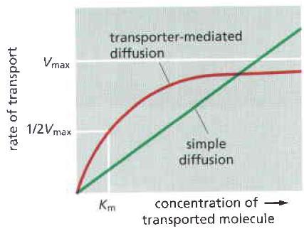 Transporte Passivo Difusão Simples e Facilitada -Gradiente de concentração indica a alteração no valor da concentração de