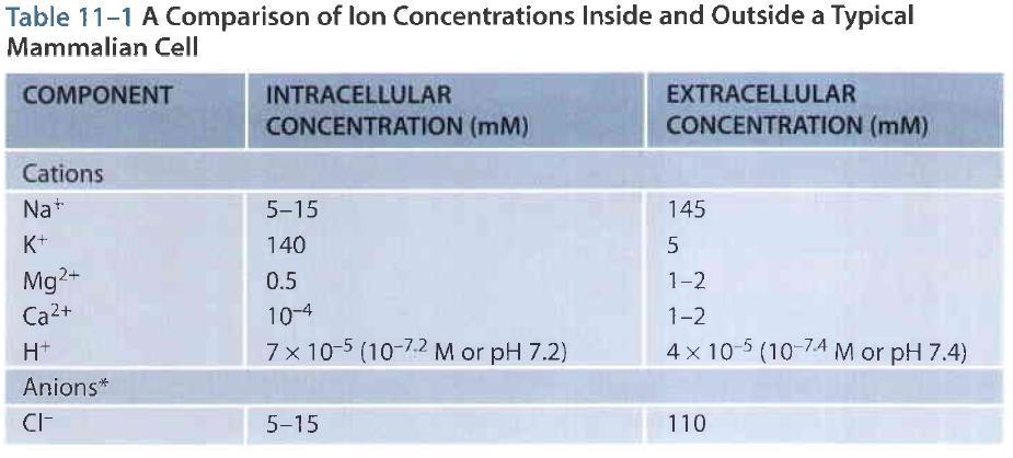 Osmolaridade Celular Diferenças eletroquímicas intra e extracelular - Graças à