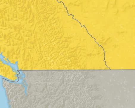 ESTADOS UNIDOS E CANADÁ PARA BRASILEIROS 37 Alberta Ilha Victória CANADÁ Kamloops Vancouver Colúmbia Britânica Columbia Icefields Lake Louise Calgary Banff Victoria Parte aérea não incluída Trajeto