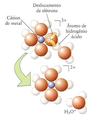 As moléculas de H 2 O agem como bases de Lewis e compartilham elétrons com o íon Al 3+.