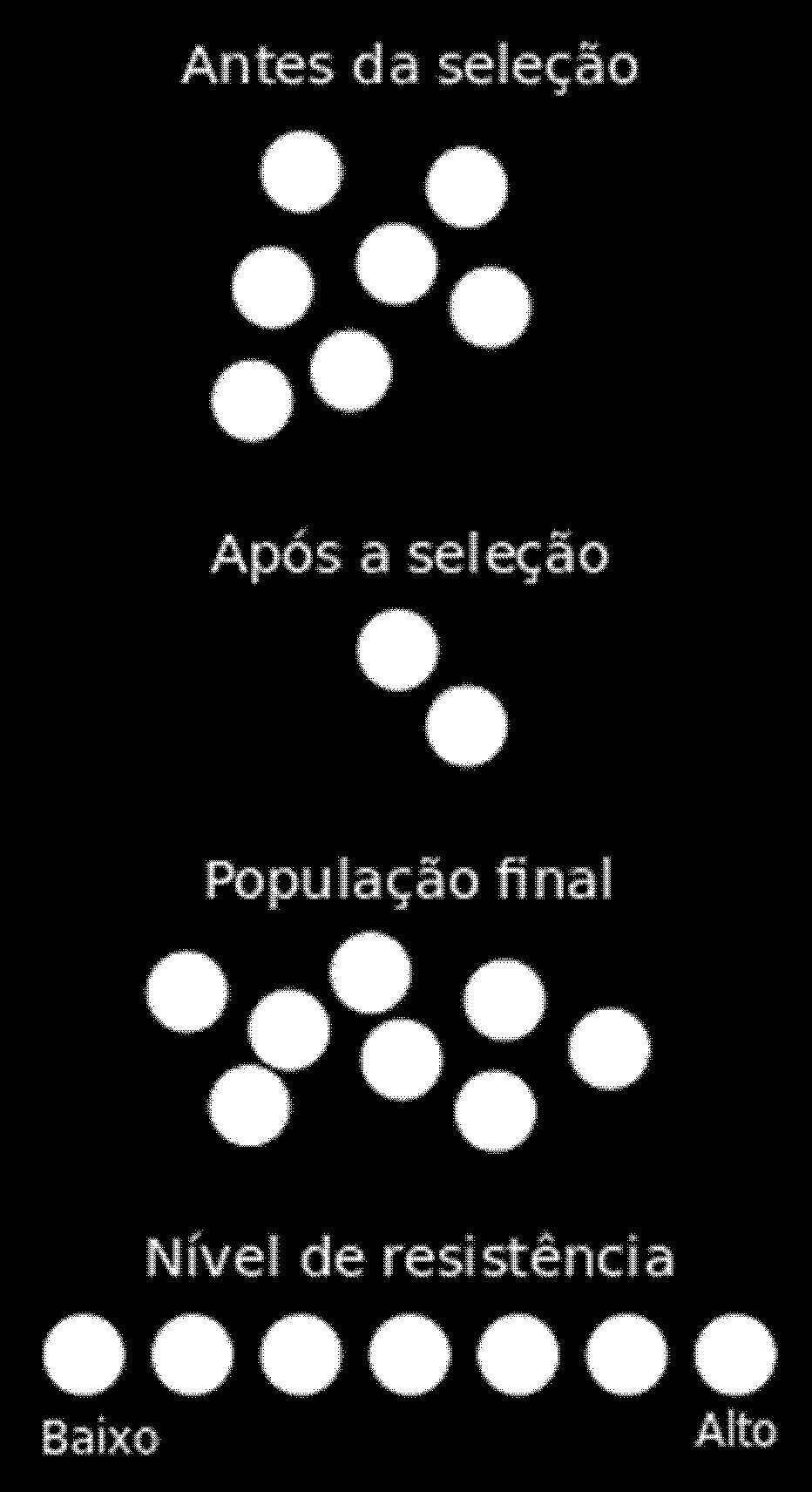 Diz-se que os indivíduos melhor adaptados ao ambiente mutante foram selecionados, por