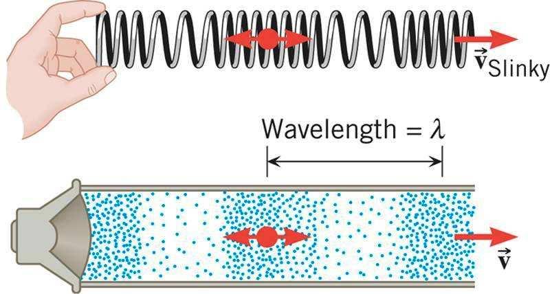 Tanto a onda na mola quanto a onda sonora são longitudinais.
