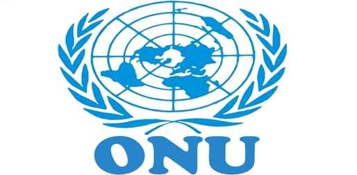 A Organização das Nações Unidas é considerada o mais importante organismo internacional atualmente existente, importante por reunir praticamente todas as nações do