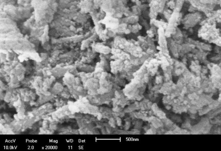 HNT e o compósito de HNT-Fe 3 O 4. A Figura 9 apresenta as imagens de MEV e os respectivos espectros de EDS da HNT e do compósito de HNT-Fe 3 O 4.