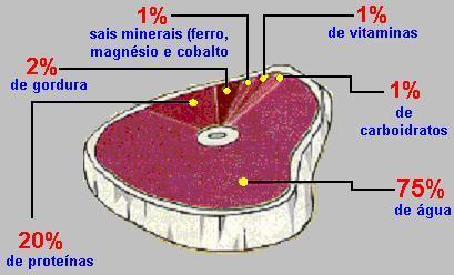 Importância nutricional Uma porção (130g) supre: 50% da exigência de proteína 25 a 30% da necessidade