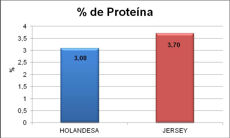 42 Figura 5 - Média da porcentagem de proteína