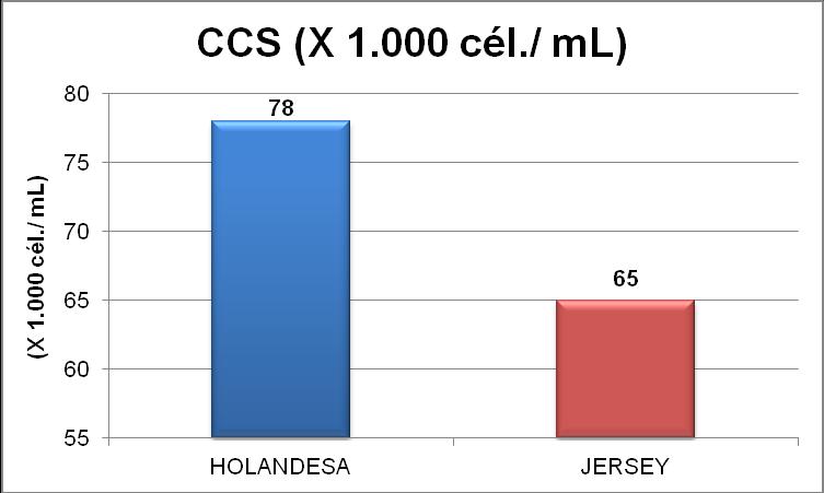 45 Na figura abaixo, é possível observar a média de CCS das raças. Figura 9 - Média da contagem de células somáticas (x 1.000 cél./ ml) das raças Holandesa e Jersey. FONTE: O autor 5.