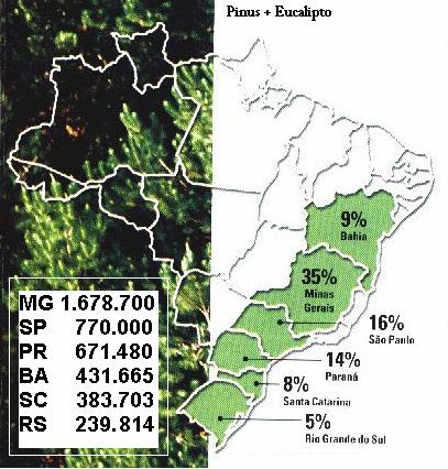 Área com reflorestamento por estado (ha).