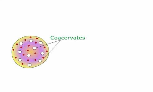 células eucarióticas