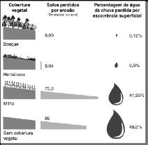 Os quatro últimos versos da música referem-se à importância do solo para a agricultura.