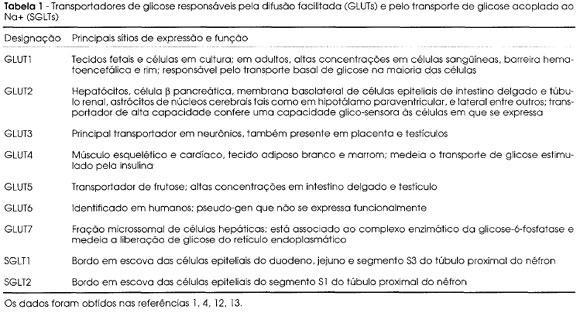 Transportadores de glicose - GLUTs Identificadas, até o momento, 14