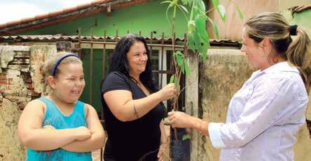Segundo o prefeito João Adirson Pacheco, a iniciativa foi tomada após uma reunião com o Fundecitrus e fazendas de citros.