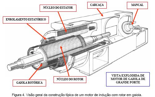 Características