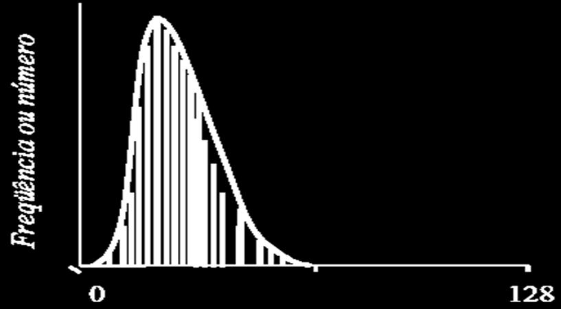 Histograma da Imagem Digital Os valores digitais das bandas individuais de um sensor podem ser computados na forma de um gráfico de barras, onde as alturas das barras indicam a quantidade de números