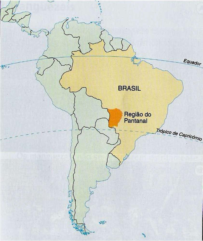 Bioma Pantanal Ocupa a parte oeste dos estados do Mato Grosso e Mato Grosso do Sul, além do Paraguai e Bolívia, sendo considerada a maior do mundo; Caracteriza-se pela baixa altitude, pouca