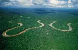 No Brasil... Lagos amazônicos (de várzea e de terra firme).