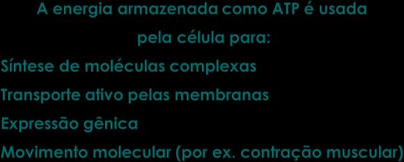 Metabolismo: soma de todas as transformações químicas que ocorrem em uma célula ou organismo por meio de reações catalisadas por enzimas Metabolismo energético: vias metabólicas de fornecimento de