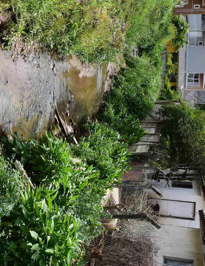 Canal Belém A poluição do Belém é antiga.