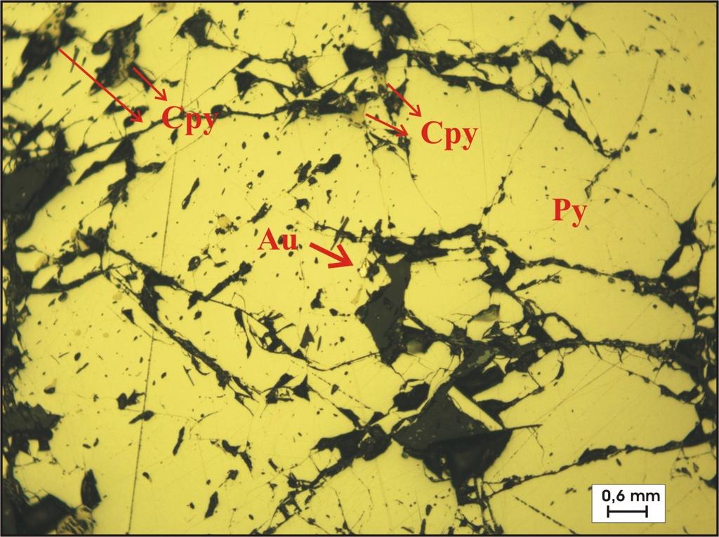 Capítulo 5 - A mineralização de cobre de Bom Jardim de Goiás O ouro foi encontrado somente na amostra BJ39-49,16m na forma de um grão de 0,20 mm de diâmetro incluso em pirita (Figura 5.4).