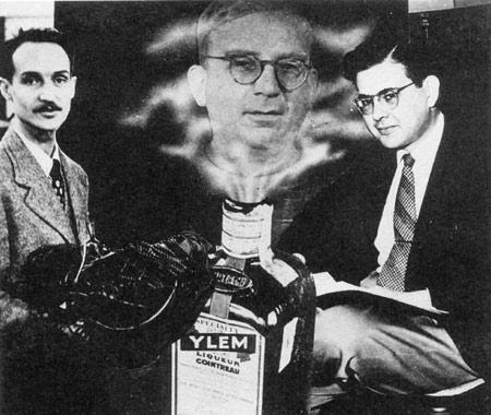 Robert Herman, George Gamow, and Ralph Alpher (left to right) with their bottle of YLEM, a fanciful