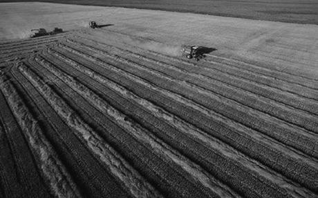 Aula PLANEJAMENTO AGRÍCOLA META Possibilitar ao aluno uma visão integrada de planejamento.