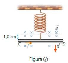 2. Um condutor retilíneo de comprimento L = 30 cm, percorrido por uma corrente elétrica de intensidade i = 2,5 A, é colocado em um campo magnético uniforme de intensidade B = 2 10 3 T.