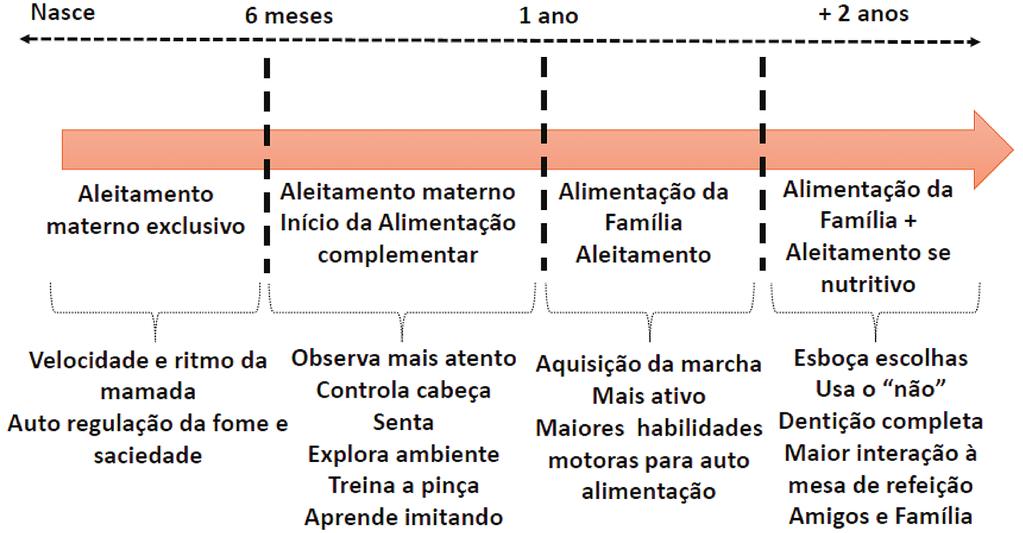 A Alimentação Complementar e o Método BLW (Baby-Led Weaning) deve continuar em aleitamento materno, mas há a necessidade de introdução da AC, tanto do ponto de vista nutricional (sendo fonte de