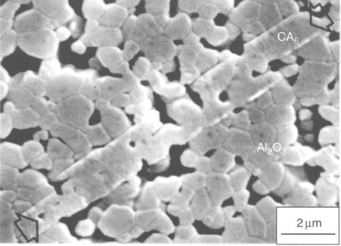 Sinterização Com reação Alumina com 5% CaO Processo com a formação de uma fase durante o aquecimento Se esta fase existir em apenas uma parte do processo temos uma