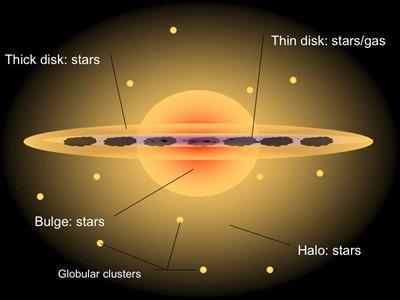 Halo Estelar O halo tem uma forma esférica e é constituída por partículas ultra excitadas a alta temperatura, anãs vermelhas, anãs brancas e por aglomerados globulares, que estão em órbita em torno