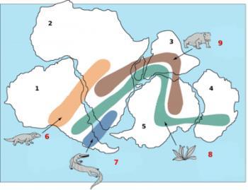 Subdivisão da Geologia Geologia Histórica Estuda e procura datar cronologicamente a evolução geral, as modificações estruturais, geográficas e biológicas ocorridas na história