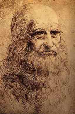 Histórico Da Vinci (1452-1519) Corrigiu e criou ideias como: Origem dos fósseis, papel da
