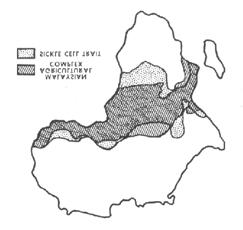 ICELND MDGCR epidêmica na África epidêmica na África Esta colônia introduziu a complexa agricultura Malásia nesta região Há cerca de 2000 anos atrás, uma colônia Malásia-Indonésia estabeleceu-se em