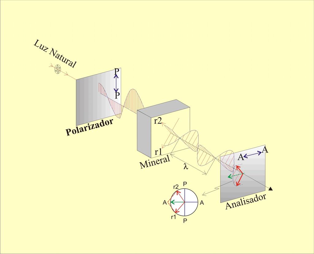 Polarizadores: polarizador inferior e analisador superior