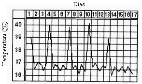 a. Pelo intervalo da febre, trata-se da malária do tipo quartã benigna. b. A amplitude de variação da temperatura corpórea excedeu a 3ºC. c. O paciente teve acessos de febre, aproximadamente, a cada 72 horas.