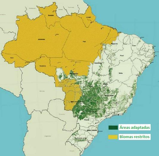 - Exclusão de áreas com vegetação nativa, proibindo em todo o território nacional para a expansão do cultivo; - Exclusão de áreas para cultivo na Amazônia, Pantanal e na Bacia do Alto Paraguai; -