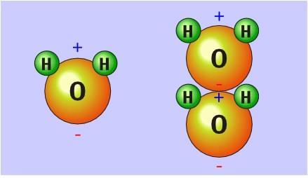 PROPRIEDADES DA MOLÉCULA DE ÁGUA BIPOLARIDADE A molécula de água apresenta-se eletricamente neutra, porém a distribuição assimétrica dos elétrons resulta numa molécula bipolar, com um lado