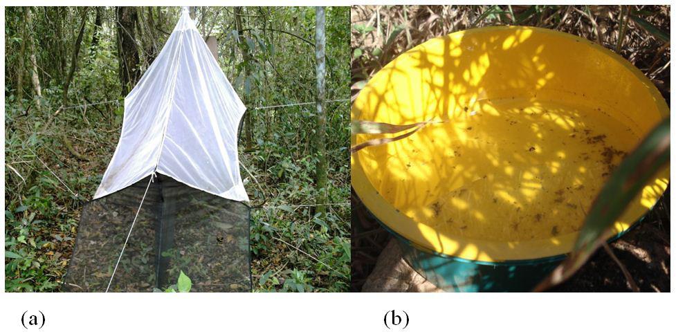 64 CIÊNCIA ET PRAXIS v. 2, n. 3, (2009) Figura 2: (a) Armadilha Malaise; (b) Armadilha Moericke; ambas utilizadas para capturas de insetos.