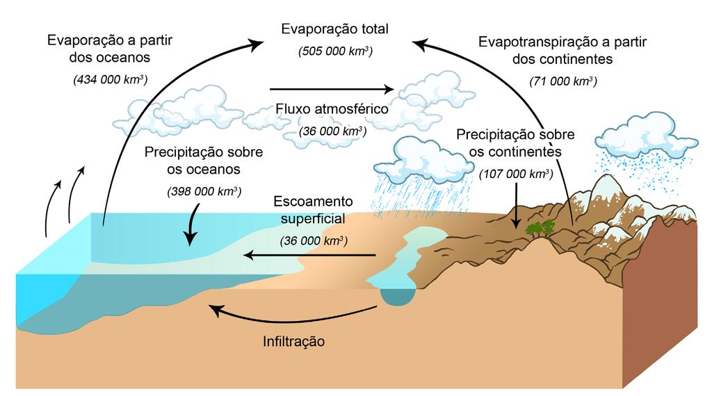 Licenciatura em Ciências USP/Univesp 127 superfície, alimentando os rios e retornando aos oceanos ao longo dos litorais.